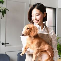 【広尾】半年後には正社員＊子犬・子猫の販売スタッフ♪(W1G-0...