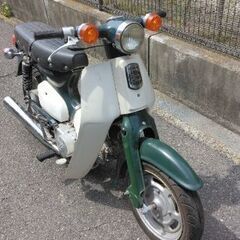 カブ　12インチの画像