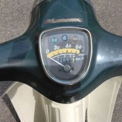 カブ　12インチの画像