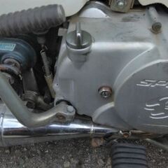 カブ　12インチの画像