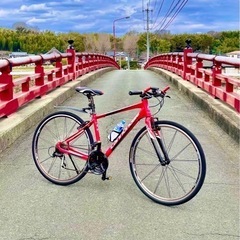 お洒落なキャノンデールを！