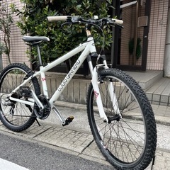 ルイガノ カスタム マウンテンバイク自転車 ホワイト アルミフレーム ルイガノ☆アルミフレーム☆マウンテンバイク 3段×8段ギア 26インチ