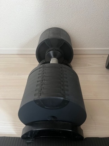 フレックスベル（FLEXBELL） 4kg刻み 32kg  ダンベル　単品