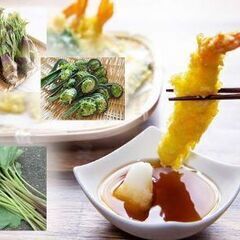 山菜とりしたいので経験者