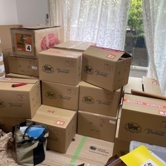 取引中　引越し用ダンボール