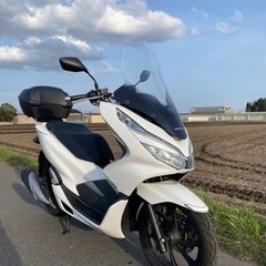 pcx125 JF81 通勤快速車　距離15200km 燃費 5...