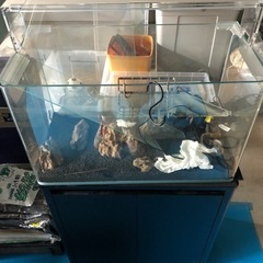 アクアスカイの中古が安い！激安で譲ります・無料であげます