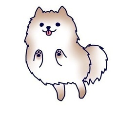 スマホの設定やデータ移動（所沢エリア）