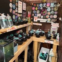 【五桜メダカ】4月22日　横須賀メダカ無人販売