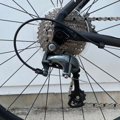 KhodaaBloom（コーダブルーム ）2021年FARNA DISC TIAGRAの画像