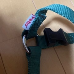 犬　胴輪　ハーネスの画像