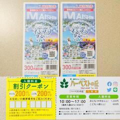 ハーベストの丘 ネモフィラ祭り 入園割引券 大阪舞洲シーサイドパ...
