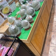 道の駅たるたるぱあく