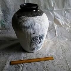紹興酒の瓶