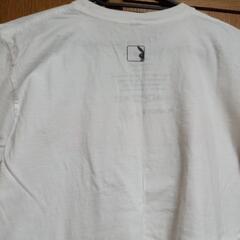 決まりました❇️PLAYBOY☆半袖トップスの画像