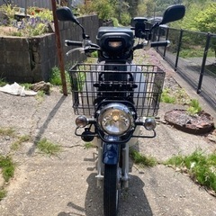 スーパーカブ50 プロ AA04の画像