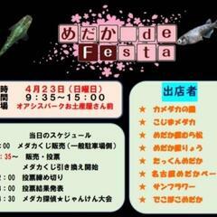 4/23日(日)「改良メダカ」イベント開催‼️inオアシスパーク(お土産店前) - 名古屋市