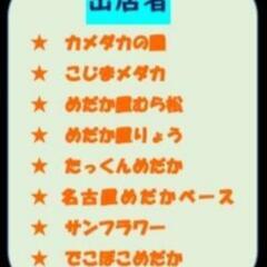 4/23日(日)「改良メダカ」イベント開催‼️inオアシスパーク(お土産店前) - ペット