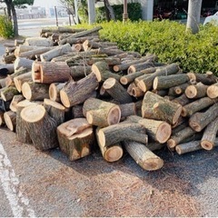 間伐材　果樹園　伐採　原木　引き取ります