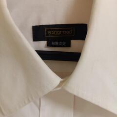 ビジネスシャツ長袖③　38-80 の画像