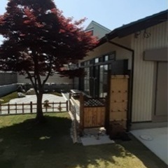 庭木の剪定、伐採致します。 - 剪定/造園