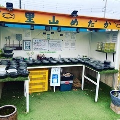 里山めだか　無人販売店