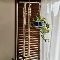 プランター マクラメプラントハンガー 2本セット