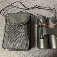 双眼鏡 オートフォーカス 10×22