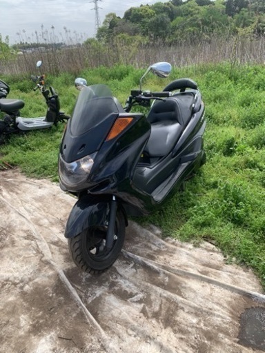 ヤマハマジェスティC 250 珍しいノーマル車！