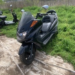 ヤマハマジェスティC 250 珍しいノーマル車！