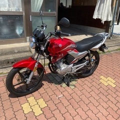 YBR125