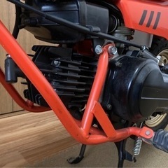 低走行　極上車！ホンダ　QR50  子供バイク　装備品付きの画像