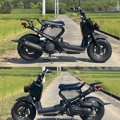 ホンダ　ズーマー　ZOOMER 1オーナー　自賠責保険長い　即持ち帰り可能の画像