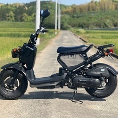 ホンダ　ズーマー　ZOOMER 1オーナー　自賠責保険長い　即持ち帰り可能の画像