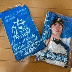 北海道日本ハムファイターズ　応援大使　限定タオル