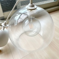 ヤーコブスビンの中古が安い!激安で譲ります・無料であげます ヤーコブスビンの中古が安い!激安で譲ります・無料であげます