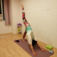 《音(おん)ヨガフロー》〜music yoga flow〜
の画像