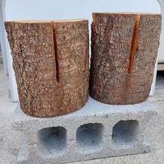 【決まりました】値下げしました　桜　スウェーデントーチ