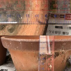 素焼きの植木鉢 大きさいろいろ