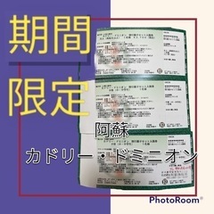 カドリードミニオン　入園チケット