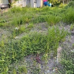 残土処分　無料　無料で残土をお譲りしますの画像