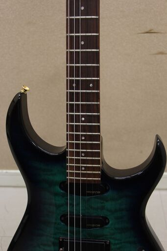 Fernandes フェルナンデス　エレキギター ソフトケース付 (P1576anxY)