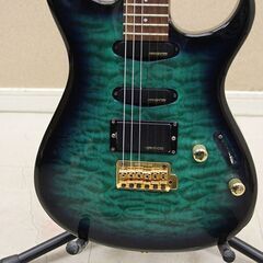 Fernandes フェルナンデス エレキギター ソフトケース付 (P1576anxY)