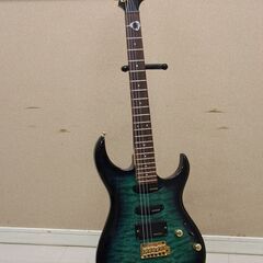 Fernandes フェルナンデス　エレキギター ソフトケース付...