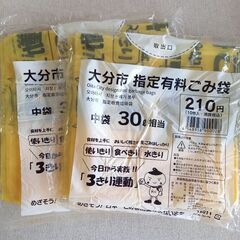 大分市指定のごみ袋　(30L10枚入り×2個)