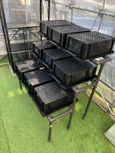 メダカ　飼育ラック　NVBOX9個付き