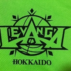未使用 レバンガ北海道 ゲームシャツの画像