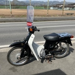 スズキバディー50   カブ