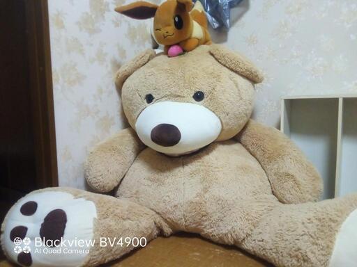 巨大なクマのぬいぐるみ