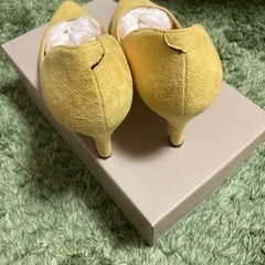 春色パンプスの画像